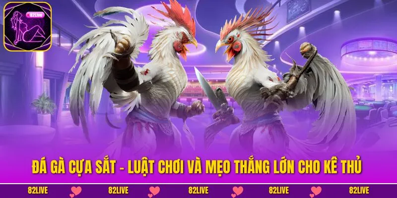 Đá Gà Cựa Sắt - Luật Chơi Và Mẹo Thắng Lớn Cho Kê Thủ
