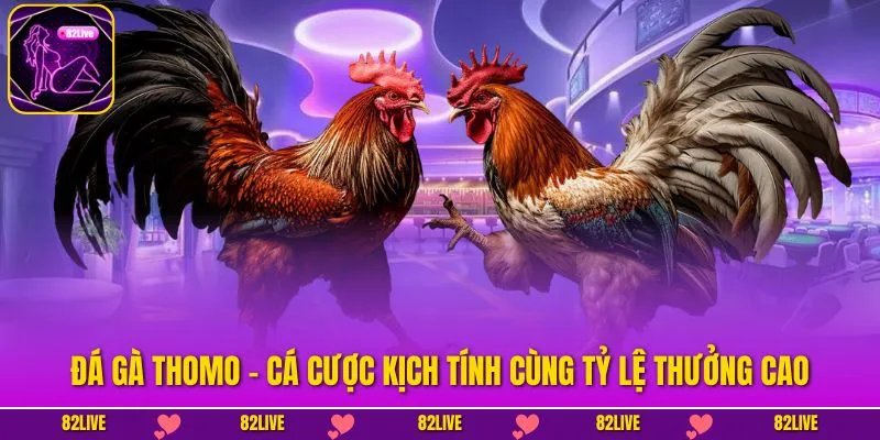 Đá Gà Thomo - Cá Cược Kịch Tính Cùng Tỷ Lệ Thưởng Cao