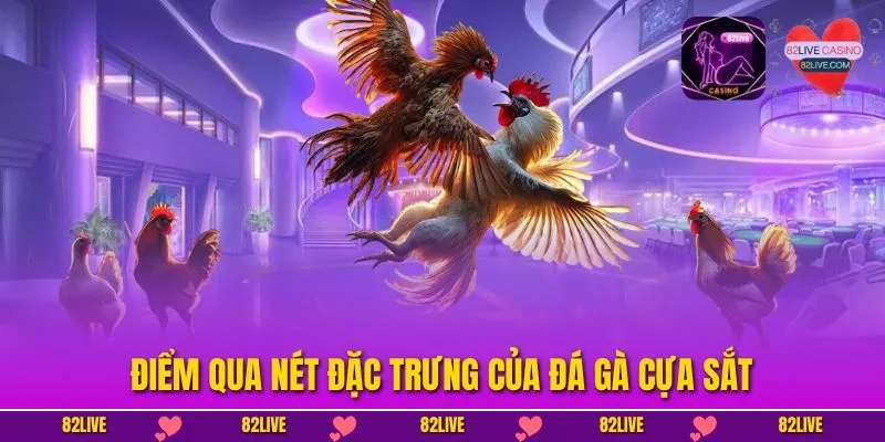 Đá Gà Cựa Sắt - Luật Chơi Và Mẹo Thắng Lớn Cho Kê Thủ