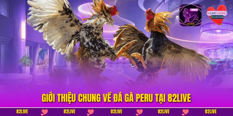 Đá Gà Peru - Đấu Trường Xanh Chín Đầy Thử Thách Mỗi Ngày