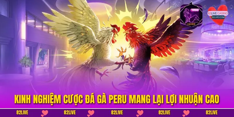 Đá Gà Peru - Đấu Trường Xanh Chín Đầy Thử Thách Mỗi Ngày