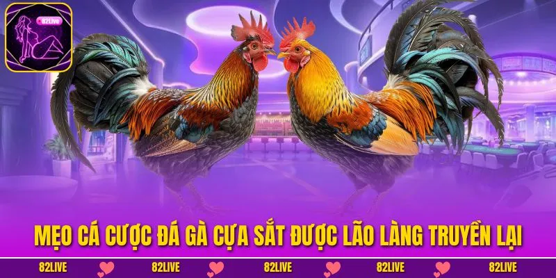 Đá Gà Cựa Sắt - Luật Chơi Và Mẹo Thắng Lớn Cho Kê Thủ