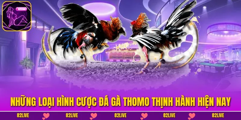 Đá Gà Thomo - Cá Cược Kịch Tính Cùng Tỷ Lệ Thưởng Cao