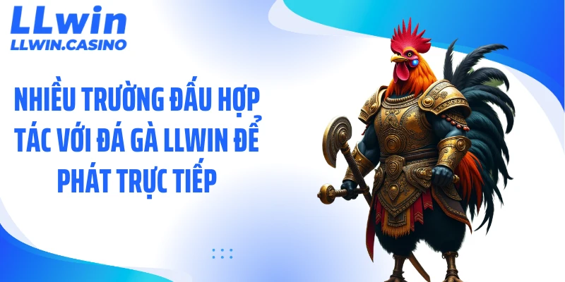 Đá Gà LLWIN: 3 Trường Đấu Trực Tiếp Kịch Tính Mỗi Ngày