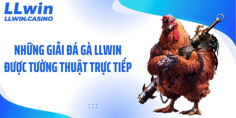 Đá Gà LLWIN: 3 Trường Đấu Trực Tiếp Kịch Tính Mỗi Ngày